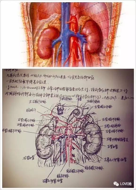 华体会体育