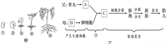  华体会体育app官方下载